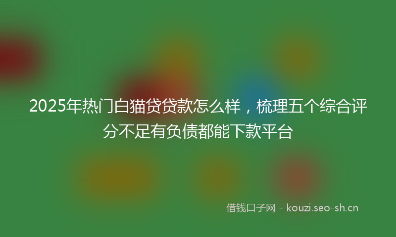 2025年热门白猫贷贷款怎么样，梳理五个综合评分不足有负债都能下款平台