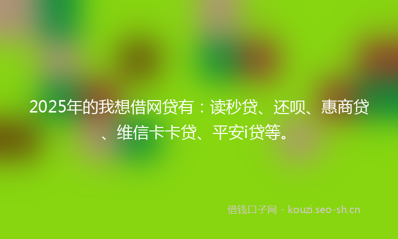 2025年的我想借网贷有：读秒贷、还呗、惠商贷、维信卡卡贷、平安i贷等。