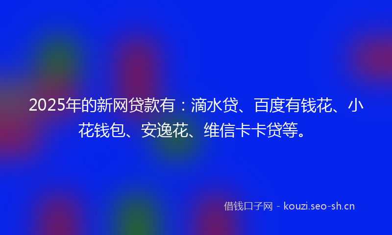 2025年的新网贷款有：滴水贷、百度有钱花、小花钱包、安逸花、维信卡卡贷等。