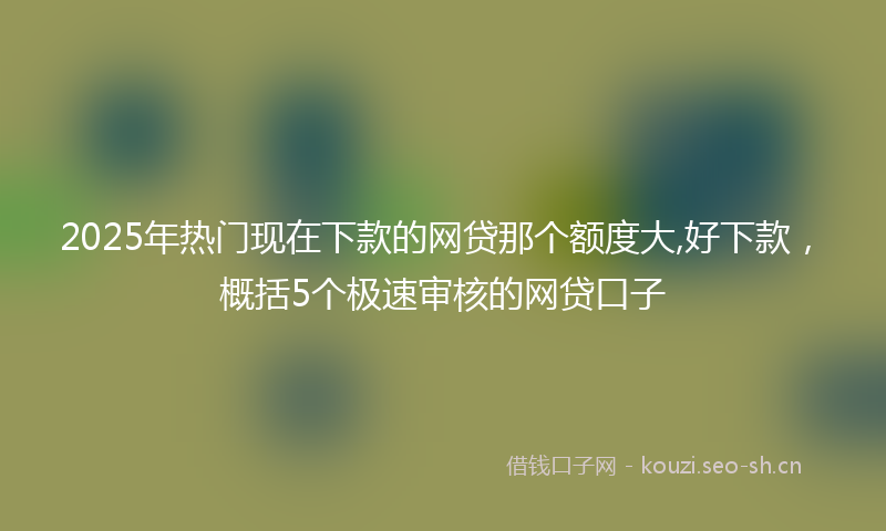 2025年热门现在下款的网贷那个额度大,好下款，概括5个极速审核的网贷口子