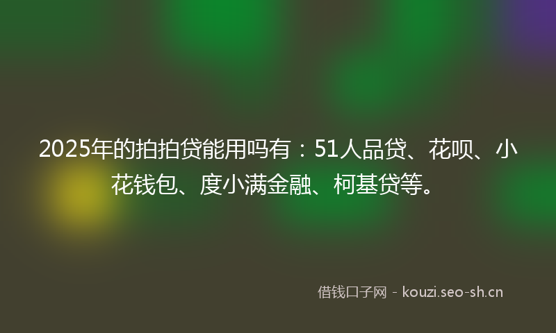 2025年的拍拍贷能用吗有：51人品贷、花呗、小花钱包、度小满金融、柯基贷等。