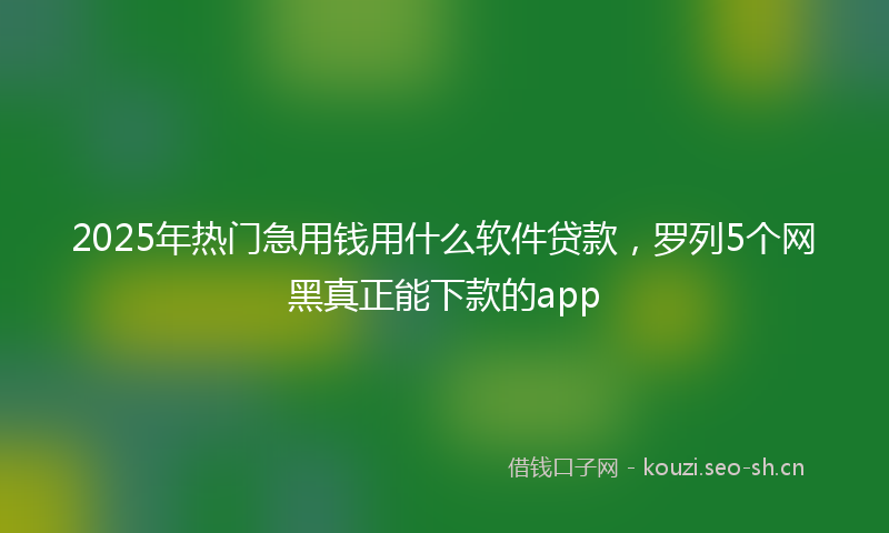2025年热门急用钱用什么软件贷款，罗列5个网黑真正能下款的app
