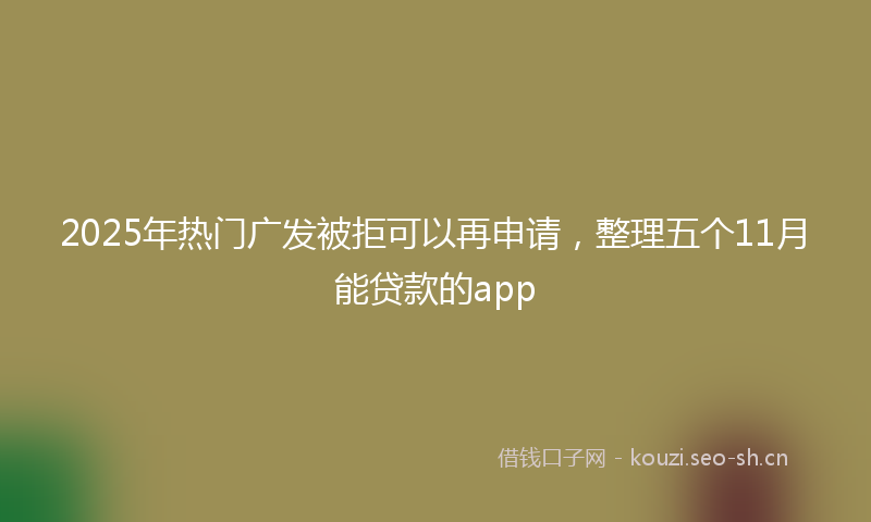 2025年热门广发被拒可以再申请，整理五个11月能贷款的app