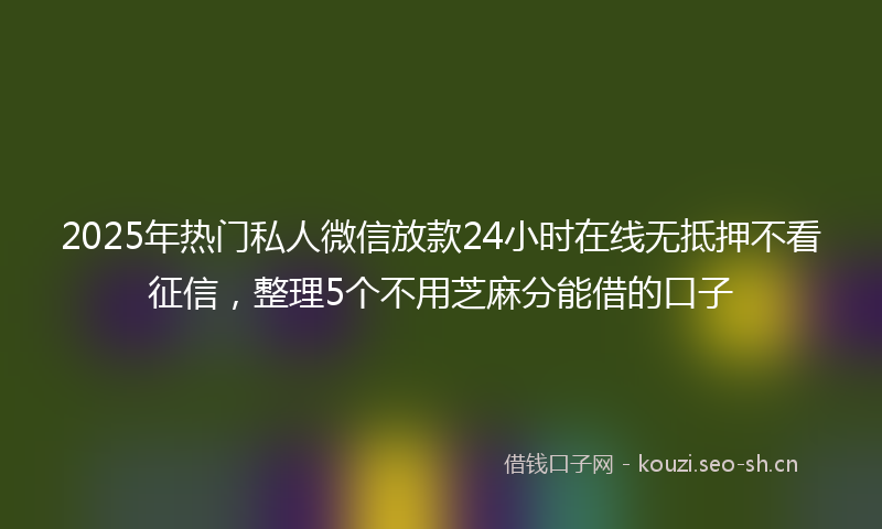 2025年热门私人微信放款24小时在线无抵押不看征信，整理5个不用芝麻分能借的口子