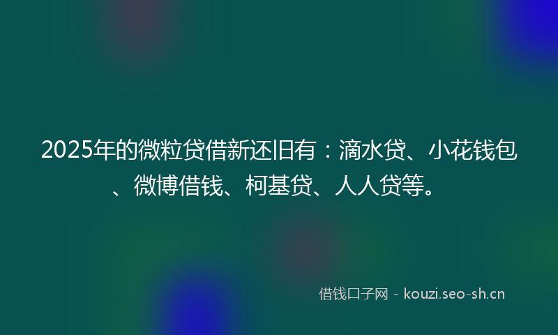2025年的微粒贷借新还旧有：滴水贷、小花钱包、微博借钱、柯基贷、人人贷等。