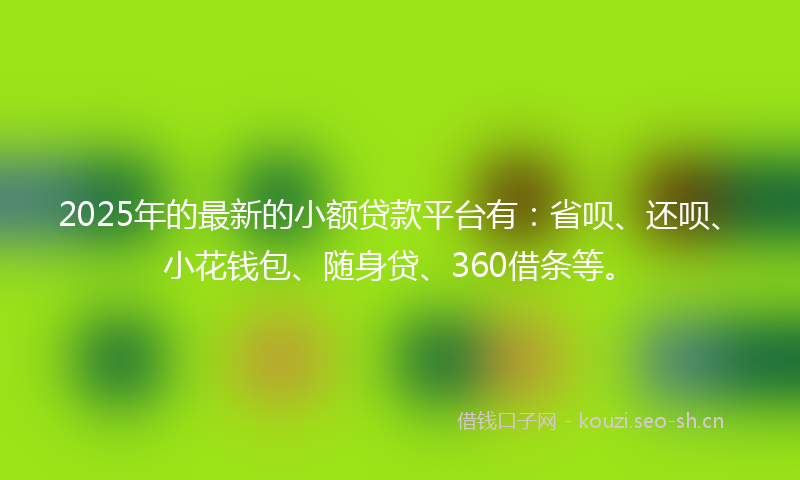 2025年的最新的小额贷款平台有：省呗、还呗、小花钱包、随身贷、360借条等。