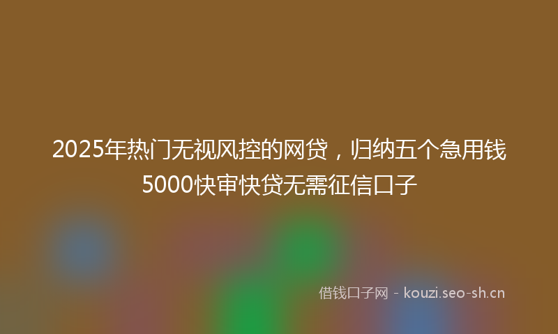 2025年热门无视风控的网贷，归纳五个急用钱5000快审快贷无需征信口子