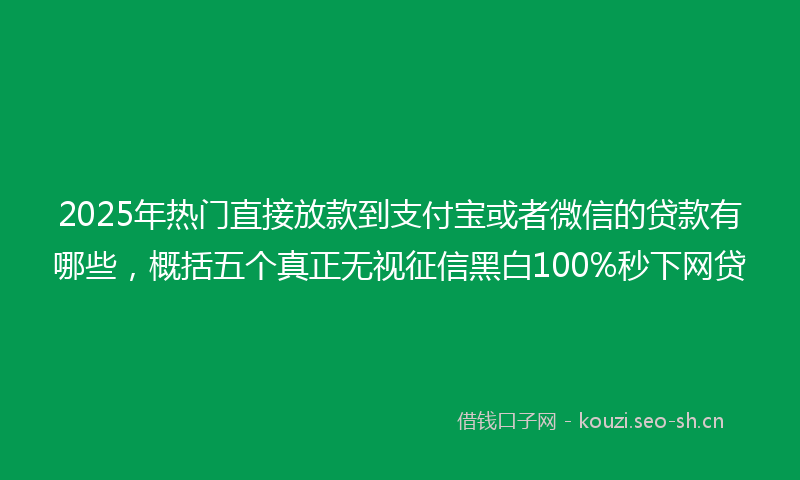 2025年热门直接放款到支付宝或者微信的贷款有哪些，概括五个真正无视征信黑白100%秒下网贷