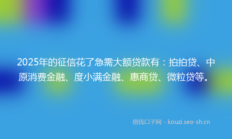 2025年的征信花了急需大额贷款有：拍拍贷、中原消费金融、度小满金融、惠商贷、微粒贷等。