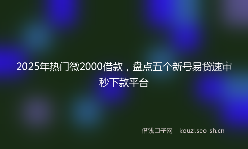 2025年热门微2000借款,盘点五个新号易贷速审秒下款平台