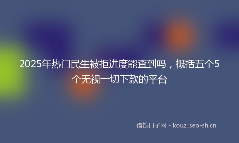 2025年热门民生被拒进度能查到吗，概括五个5个无视一切下款的平台