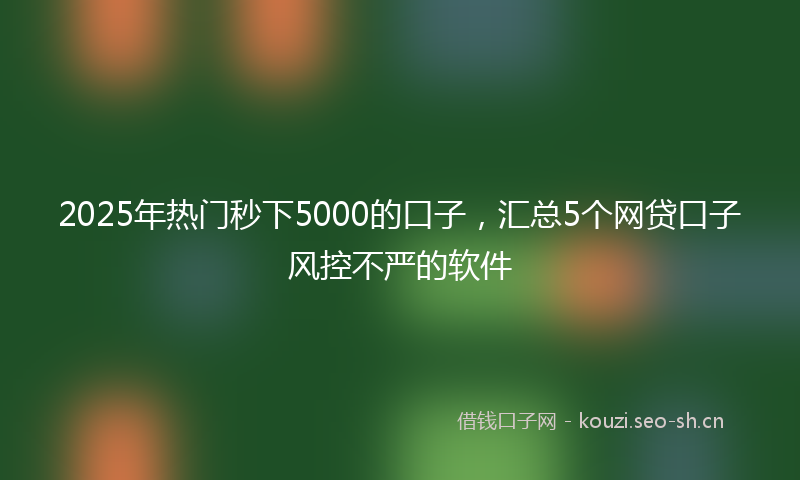 2025年热门秒下5000的口子，汇总5个网贷口子风控不严的软件