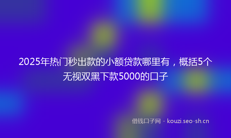 2025年热门秒出款的小额贷款哪里有，概括5个无视双黑下款5000的口子