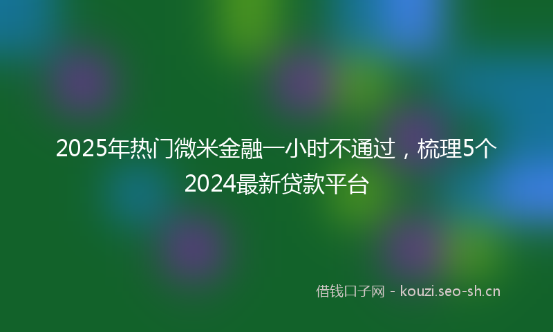 2025年热门微米金融一小时不通过,梳理5个2024最新贷款平台