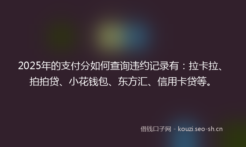 2025年的支付分如何查询违约记录有：拉卡拉、拍拍贷、小花钱包、东方汇、信用卡贷等。