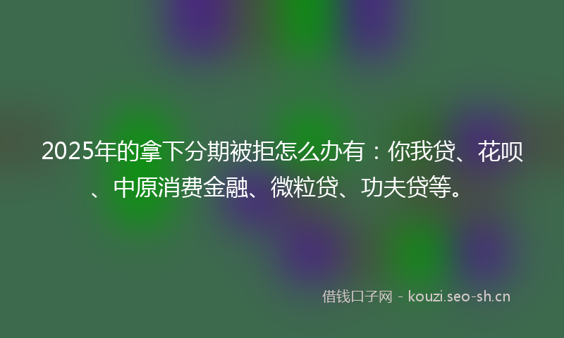 2025年的拿下分期被拒怎么办有：你我贷、花呗、中原消费金融、微粒贷、功夫贷等。