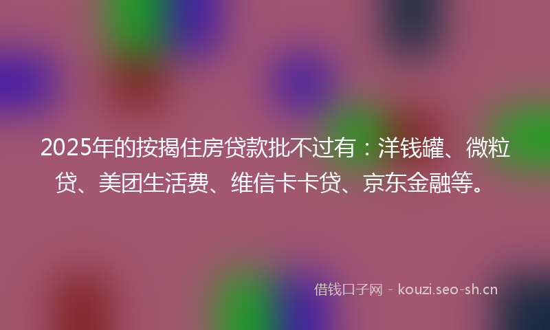 2025年的按揭住房贷款批不过有：洋钱罐、微粒贷、美团生活费、维信卡卡贷、京东金融等。
