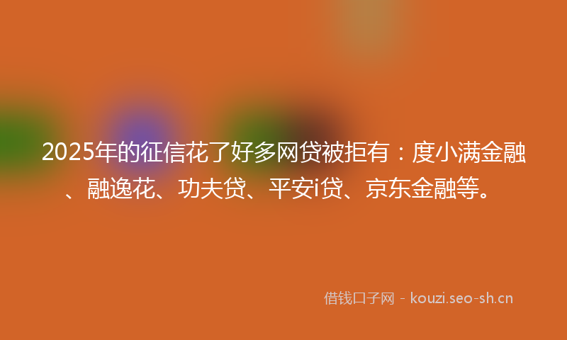 2025年的征信花了好多网贷被拒有：度小满金融、融逸花、功夫贷、平安i贷、京东金融等。