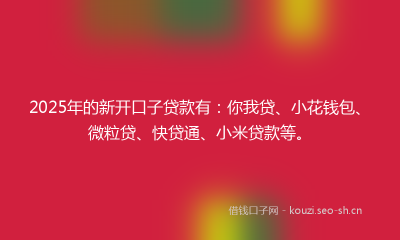 2025年的新开口子贷款有：你我贷、小花钱包、微粒贷、快贷通、小米贷款等。