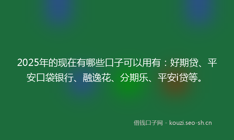2025年的现在有哪些口子可以用有：好期贷、平安口袋银行、融逸花、分期乐、平安i贷等。