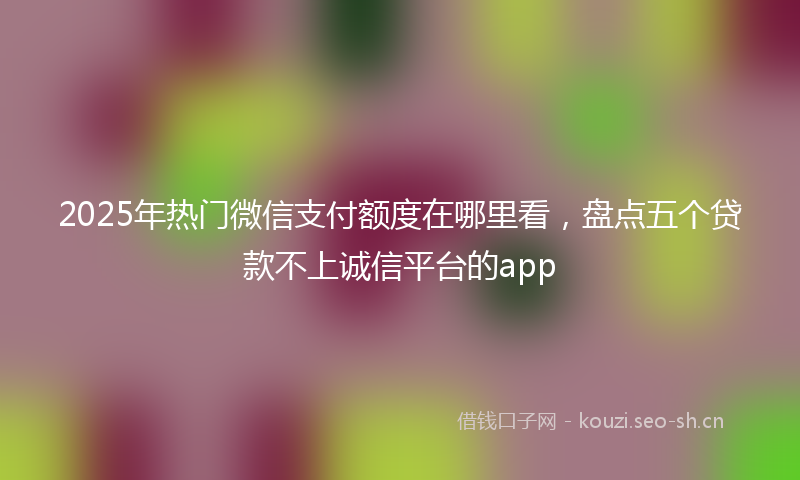2025年热门微信支付额度在哪里看，盘点五个贷款不上诚信平台的app
