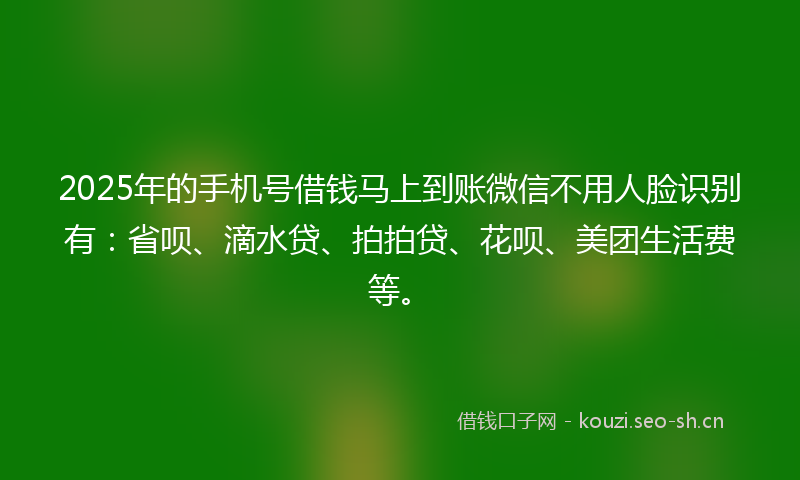 2025年的手机号借钱马上到账微信不用人脸识别有：省呗、滴水贷、拍拍贷、花呗、美团生活费等。