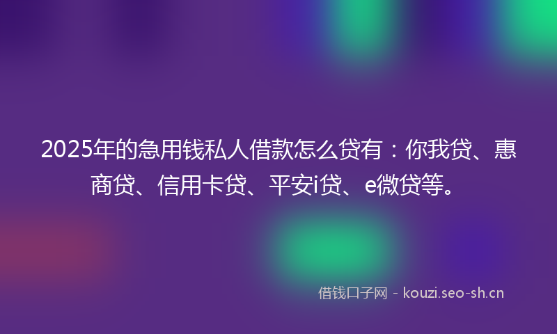 2025年的急用钱私人借款怎么贷有：你我贷、惠商贷、信用卡贷、平安i贷、e微贷等。