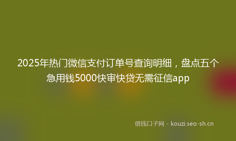 2025年热门微信支付订单号查询明细，盘点五个急用钱5000快审快贷无需征信app