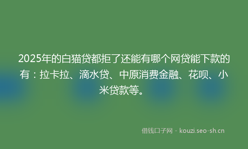 2025年的白猫贷都拒了还能有哪个网贷能下款的有：拉卡拉、滴水贷、中原消费金融、花呗、小米贷款等。