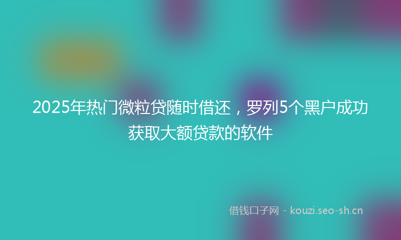 2025年热门微粒贷随时借还，罗列5个黑户成功获取大额贷款的软件