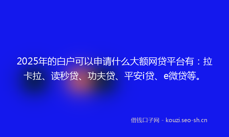 2025年的白户可以申请什么大额网贷平台有：拉卡拉、读秒贷、功夫贷、平安i贷、e微贷等。