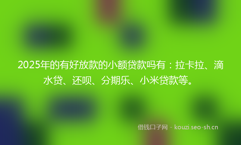 2025年的有好放款的小额贷款吗有：拉卡拉、滴水贷、还呗、分期乐、小米贷款等。