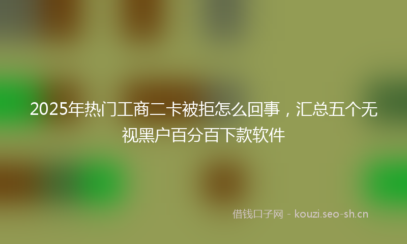 2025年热门工商二卡被拒怎么回事，汇总五个无视黑户百分百下款软件