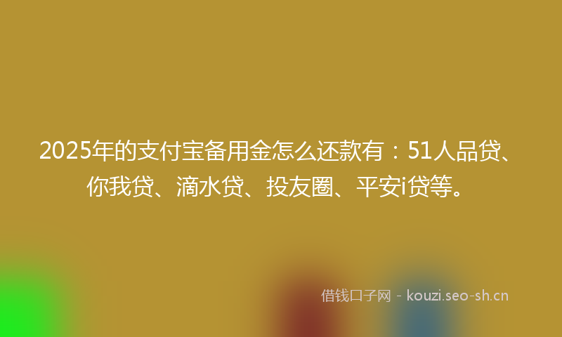 2025年的支付宝备用金怎么还款有：51人品贷、你我贷、滴水贷、投友圈、平安i贷等。