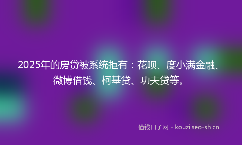 2025年的房贷被系统拒有：花呗、度小满金融、微博借钱、柯基贷、功夫贷等。