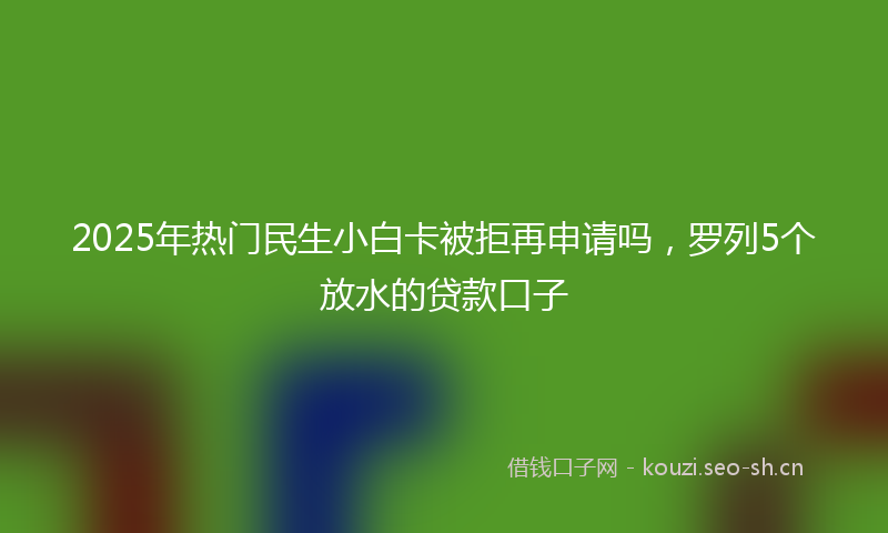 2025年热门民生小白卡被拒再申请吗，罗列5个放水的贷款口子