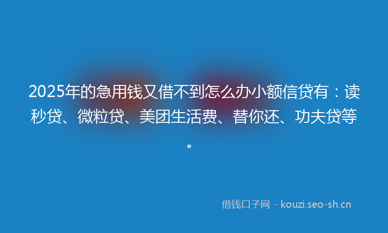 2025年的急用钱又借不到怎么办小额信贷有：读秒贷、微粒贷、美团生活费、替你还、功夫贷等。
