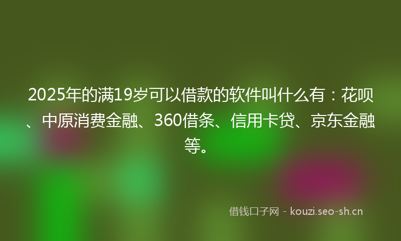 2025年的满19岁可以借款的软件叫什么有：花呗、中原消费金融、360借条、信用卡贷、京东金融等。