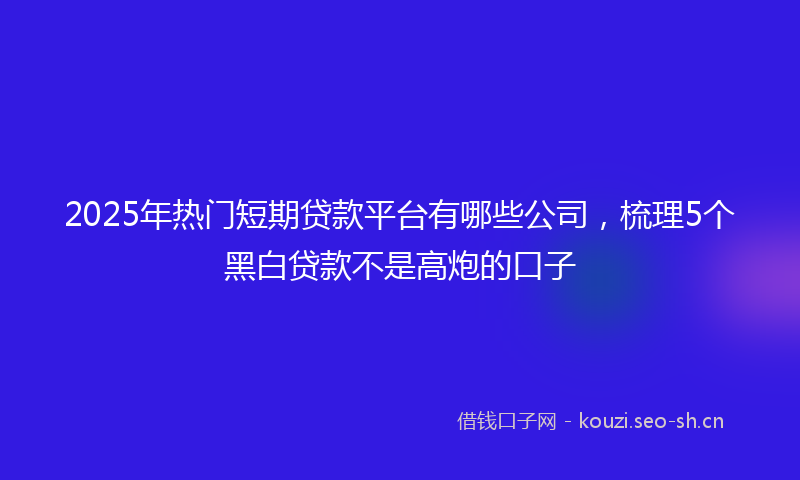 2025年热门短期贷款平台有哪些公司，梳理5个黑白贷款不是高炮的口子