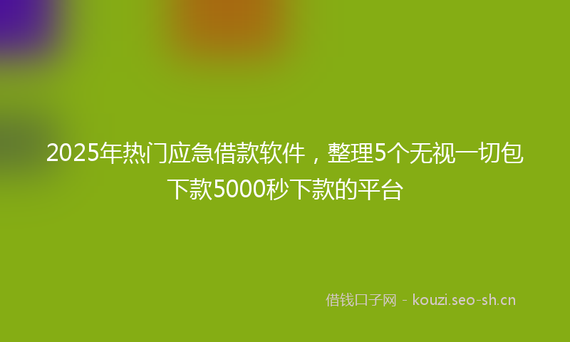 2025年热门应急借款软件，整理5个无视一切包下款5000秒下款的平台