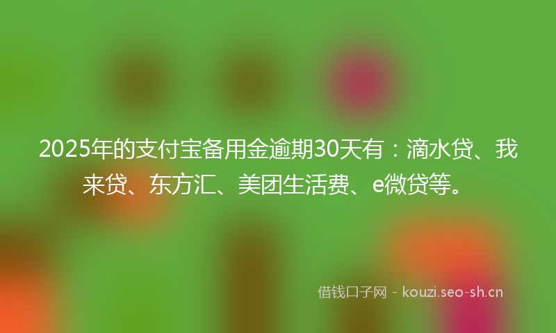 2025年的支付宝备用金逾期30天有：滴水贷、我来贷、东方汇、美团生活费、e微贷等。