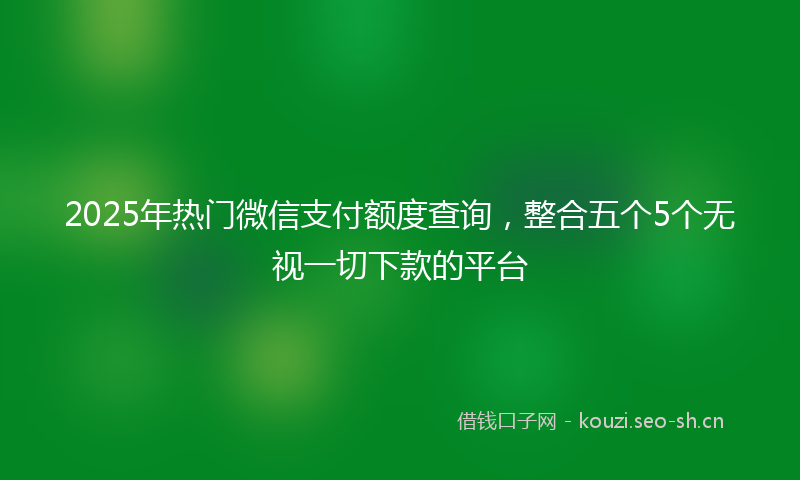 2025年热门微信支付额度查询，整合五个5个无视一切下款的平台