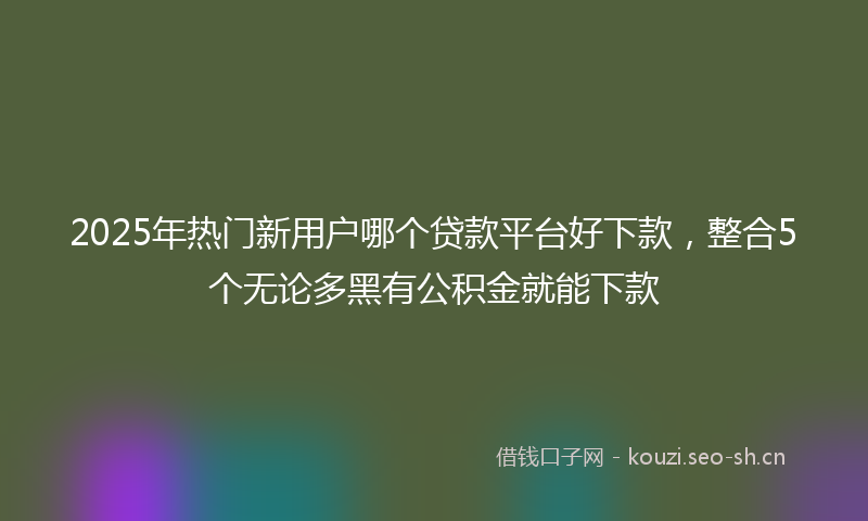2025年热门新用户哪个贷款平台好下款，整合5个无论多黑有公积金就能下款