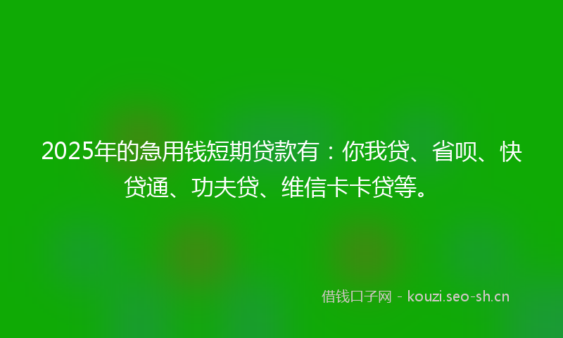 2025年的急用钱短期贷款有：你我贷、省呗、快贷通、功夫贷、维信卡卡贷等。