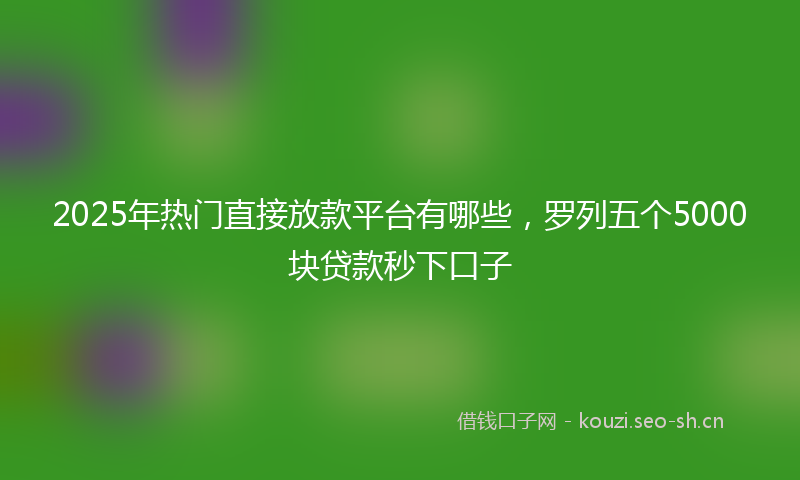 2025年热门直接放款平台有哪些，罗列五个5000块贷款秒下口子