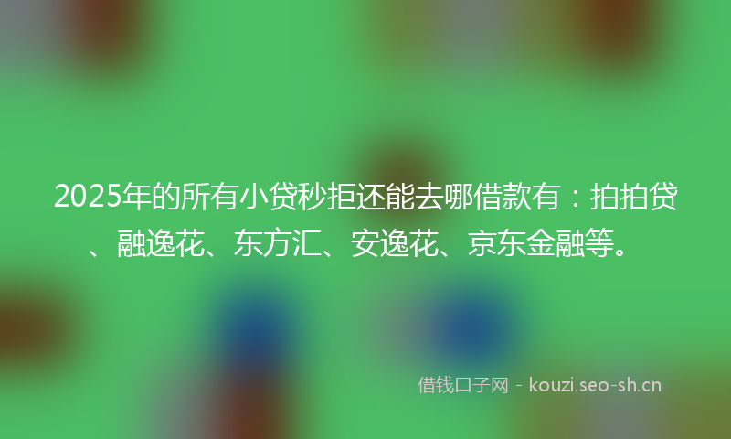 2025年的所有小贷秒拒还能去哪借款有:拍拍贷、融逸花、东方汇、安逸花、京东金融等。