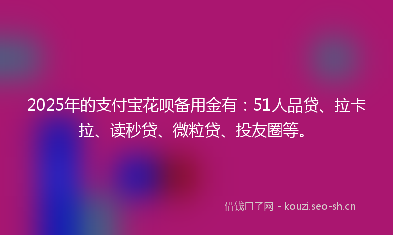2025年的支付宝花呗备用金有：51人品贷、拉卡拉、读秒贷、微粒贷、投友圈等。