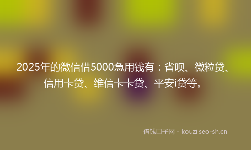 2025年的微信借5000急用钱有：省呗、微粒贷、信用卡贷、维信卡卡贷、平安i贷等。