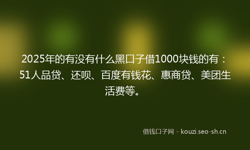 2025年的有没有什么黑口子借1000块钱的有：51人品贷、还呗、百度有钱花、惠商贷、美团生活费等。