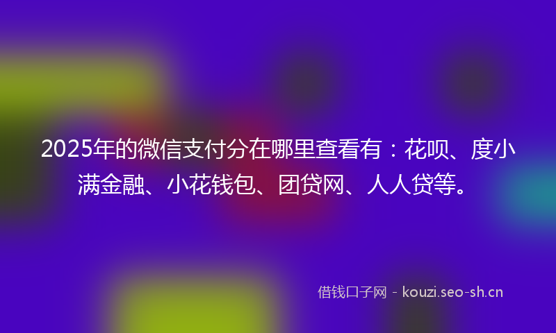 2025年的微信支付分在哪里查看有:花呗、度小满金融、小花钱包、团贷网、人人贷等。